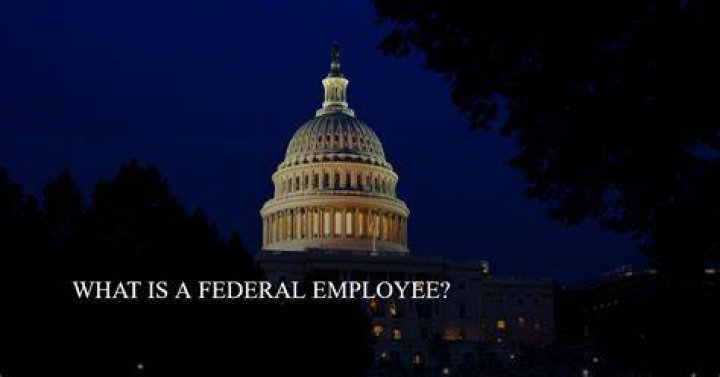 Is a government employee a federal employee?