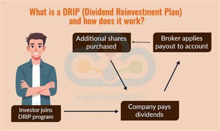 What is a stock DRIP plan?