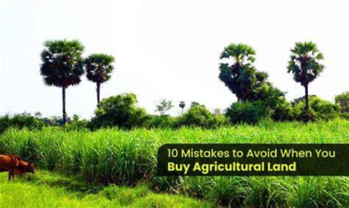 Why do people buy agricultural land?